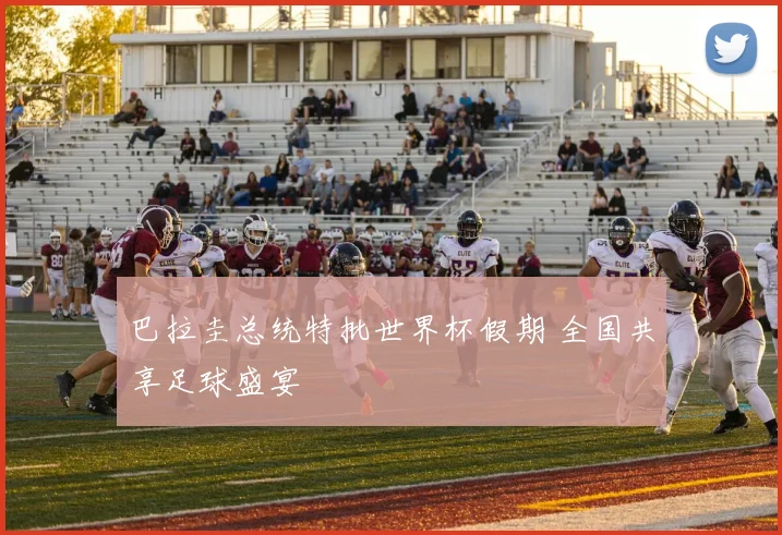 巴拉圭总统特批世界杯假期 全国共享足球盛宴
